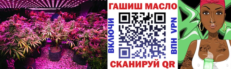 Дистиллят ТГК концентрат  Кущёвская 