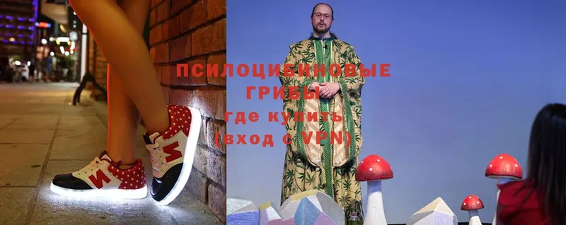 Галлюциногенные грибы мицелий  omg сайт  Кущёвская 